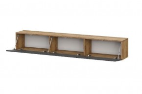 БАЙКАЛ Тумба (Графит/Дуб золотой) в Миассе - miass.ok-mebel.com | фото 2