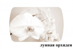 БОСТОН - 2 опоры Триумф в Миассе - miass.ok-mebel.com | фото 18