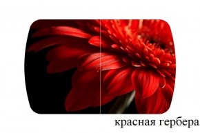 БОСТОН - 2 опоры Триумф в Миассе - miass.ok-mebel.com | фото 50