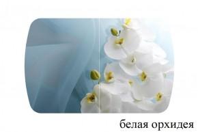 БОСТОН - 2 опоры Триумф в Миассе - miass.ok-mebel.com | фото 52