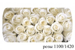 БОСТОН - 3 Стол раздвижной 1100/1420 опоры Брифинг в Миассе - miass.ok-mebel.com | фото 39