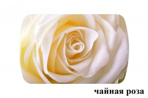 БОСТОН - 3 Стол раздвижной 1100/1420 опоры Брифинг в Миассе - miass.ok-mebel.com | фото 46