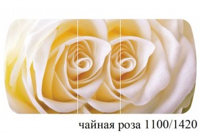 БОСТОН - 3 Стол раздвижной 1100/1420 опоры Брифинг в Миассе - miass.ok-mebel.com | фото 47