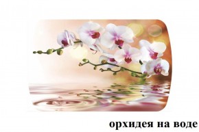 БОСТОН - 3 Стол раздвижной 1100/1420 опоры Брифинг в Миассе - miass.ok-mebel.com | фото 65