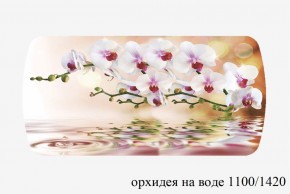 БОСТОН - 3 Стол раздвижной 1100/1420 опоры Брифинг в Миассе - miass.ok-mebel.com | фото 66