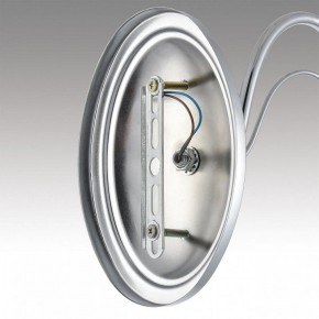 Бра Lumion INCANTO 8034/1W в Миассе - miass.ok-mebel.com | фото 7