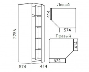 Детская Фанк Шкаф угловой Левый/Правый НМ 013.04-02 М в Миассе - miass.ok-mebel.com | фото 3