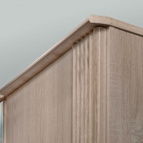 ДИАНА Д11А Шкаф для одежды в Миассе - miass.ok-mebel.com | фото 5