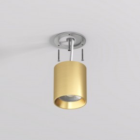 DK2610-SB Накладной светильник SHINE TUBE со светодиодом, D70*H80, IP20, 3000К, 10W, RA?90, сатинированная латунь, алюминий в Миассе - miass.ok-mebel.com | фото 3