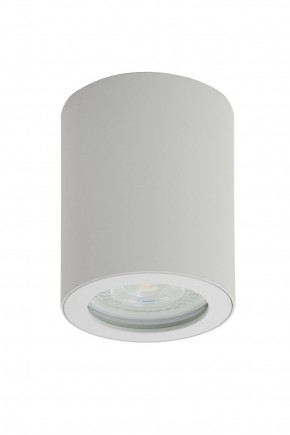 DK3007-WH Накладной светильник влагозащ., IP 44, 15 Вт, GU10, белый, алюминий в Миассе - miass.ok-mebel.com | фото