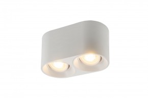 DK3036-WH Светильник накладной IP 20, 10 Вт, GU5.3, LED, белый, пластик в Миассе - miass.ok-mebel.com | фото