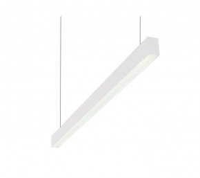 DK9124-WH Линейный светильник 30W 1250mm 4000K, белый в Миассе - miass.ok-mebel.com | фото