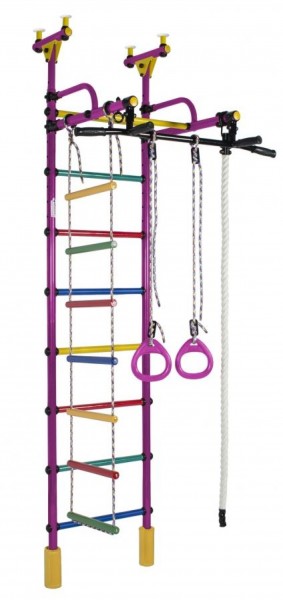 ДСК Жирафик цв.фиолетовый радуга: турник, кольца, канат, верёвочная лестница в Миассе - miass.ok-mebel.com | фото