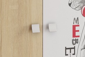 ЭНЕРДЖИ Шкаф 2-створчатый в Миассе - miass.ok-mebel.com | фото 4