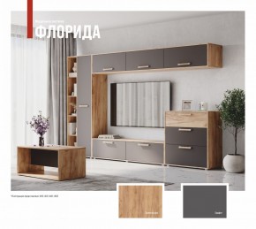 ФЛОРИДА Гостиная (модульная) дуб золотой/графит в Миассе - miass.ok-mebel.com | фото
