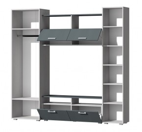 Гостиная Эмми (Анкор светлый/Графит) в Миассе - miass.ok-mebel.com | фото 3
