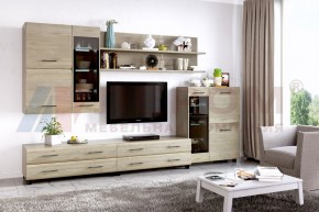 Гостиная Камелия Композиция 6 (Гикори Джексон светлый) в Миассе - miass.ok-mebel.com | фото