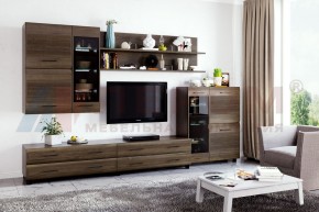 Гостиная Камелия Композиция 6 (Гикори Джексон темный) в Миассе - miass.ok-mebel.com | фото