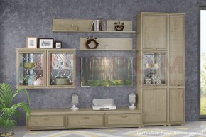 Гостиная Карина Композиция 1 (Гикори Джексон светлый) в Миассе - miass.ok-mebel.com | фото