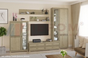 Гостиная Карина Композиция 12 (Гикори Джексон светлый) в Миассе - miass.ok-mebel.com | фото