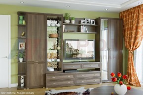 Гостиная Карина Композиция 20 (Акация Молдау) в Миассе - miass.ok-mebel.com | фото