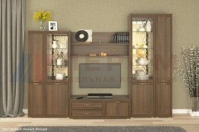 Гостиная Карина Композиция 24 (Акация Молдау) в Миассе - miass.ok-mebel.com | фото