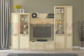 Гостиная Карина Композиция 24 (Ясень Асахи) в Миассе - miass.ok-mebel.com | фото