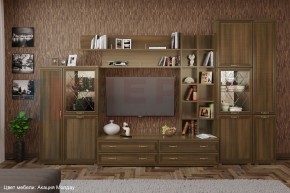 Гостиная Карина Композиция 5 (Акация Молдау) в Миассе - miass.ok-mebel.com | фото