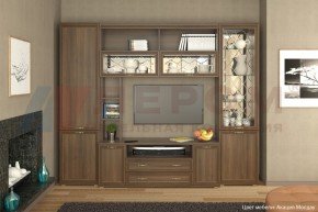Гостиная Карина Композиция 9 (Акация Молдау) в Миассе - miass.ok-mebel.com | фото