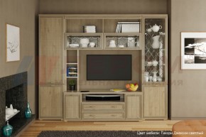 Гостиная Карина Композиция 9 (Гикори Джексон светлый) в Миассе - miass.ok-mebel.com | фото