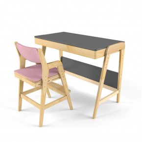 Комплект растущий стол и стул с чехлом 38 попугаев «Вуди» (Серый, Береза, Розовый) в Миассе - miass.ok-mebel.com | фото 1