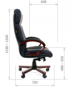 Кресло для руководителя CHAIRMAN  421 (Натуральная кожа) Черное в Миассе - miass.ok-mebel.com | фото 5