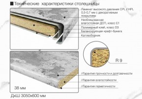 Кухонный фартук со столешницей (А-01) в едином стиле (3050 мм) в Миассе - miass.ok-mebel.com | фото 6