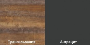 Кухонный гарнитур угловой Трансильвания 2600х1600 мм (Стол. 38 мм) в Миассе - miass.ok-mebel.com | фото 3