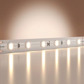 Лента светодиодная Maytoni Base 201166 в Миассе - miass.ok-mebel.com | фото