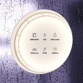 Лента светодиодная Maytoni Led strip 10118 в Миассе - miass.ok-mebel.com | фото 2