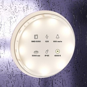 Лента светодиодная Maytoni Led strip 10124 в Миассе - miass.ok-mebel.com | фото 3