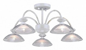 Люстра на штанге Arti Lampadari Noventa Noventa E 1.1.5 W в Миассе - miass.ok-mebel.com | фото