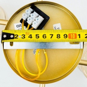 Люстра на штанге Citilux Клод CL137182 в Миассе - miass.ok-mebel.com | фото 16