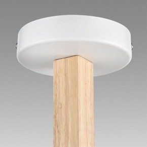 Люстра на штанге Lumion Colange 8095/3C в Миассе - miass.ok-mebel.com | фото 9