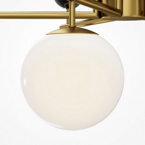 Люстра на штанге Maytoni Museo MOD436PL-07BS в Миассе - miass.ok-mebel.com | фото 4