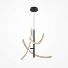Люстра на штанге Maytoni Wabi MOD428PL-L27BK в Миассе - miass.ok-mebel.com | фото 5