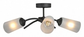 Люстра на штанге Vitaluce V2850 V2850-1/3PL в Миассе - miass.ok-mebel.com | фото