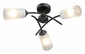 Люстра на штанге Vitaluce V2850 V2850-1/3PL в Миассе - miass.ok-mebel.com | фото 2