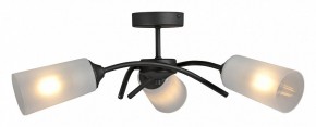 Люстра на штанге Vitaluce V2850 V2850-1/3PL в Миассе - miass.ok-mebel.com | фото 3