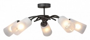 Люстра на штанге Vitaluce V2850 V2850-1/5PL в Миассе - miass.ok-mebel.com | фото