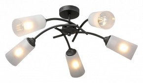 Люстра на штанге Vitaluce V2850 V2850-1/5PL в Миассе - miass.ok-mebel.com | фото 2