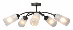 Люстра на штанге Vitaluce V2850 V2850-1/5PL в Миассе - miass.ok-mebel.com | фото 3