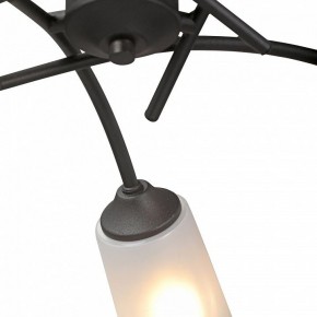 Люстра на штанге Vitaluce V2850 V2850-1/5PL в Миассе - miass.ok-mebel.com | фото 6
