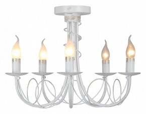 Люстра на штанге Vitaluce V3035 V3035-0/5PL в Миассе - miass.ok-mebel.com | фото 2